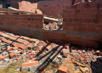 31.ª fase da AIFA remove seis construções ilegais em área de manguezal em Paranaguá