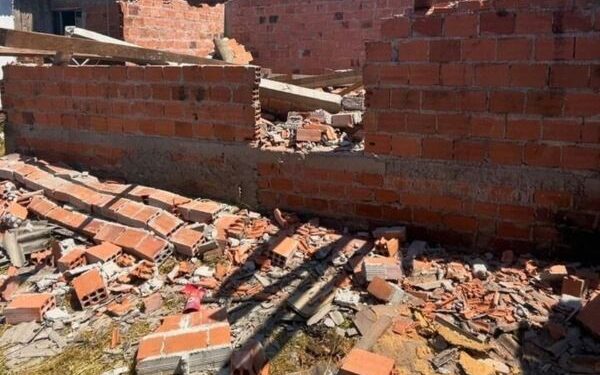 31.ª fase da AIFA remove seis construções ilegais em área de manguezal em Paranaguá