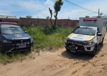 Homem encontra ossos humanos ao roçar terreno em Pontal do Paraná 