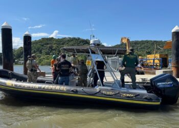 PF e Ibama combatem extração irregular em sítio arqueológico em Paranaguá