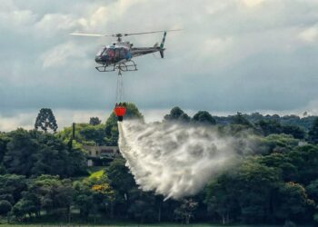 Foto: Denis Ferreira Netto/SEDEST