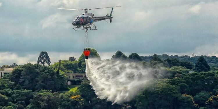 Foto: Denis Ferreira Netto/SEDEST