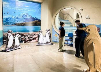 Foto: Mayara Locatelli/Portos do Paraná