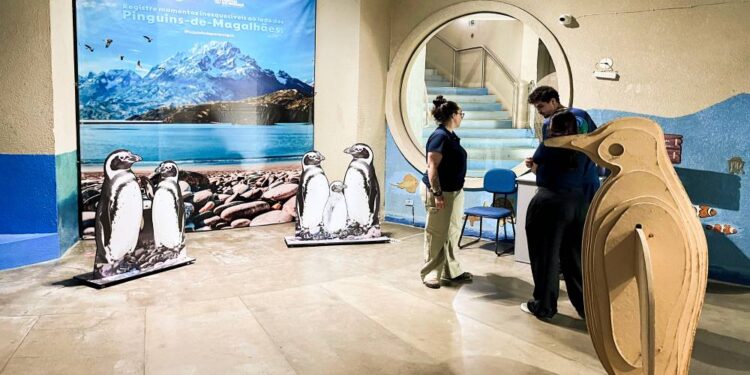 Foto: Mayara Locatelli/Portos do Paraná