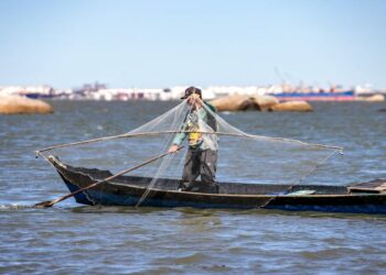 Foto: Claudio Neves/Portos do Paraná