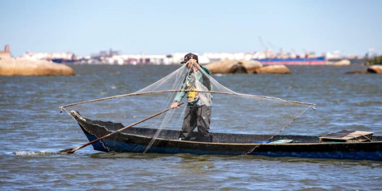 Foto: Claudio Neves/Portos do Paraná