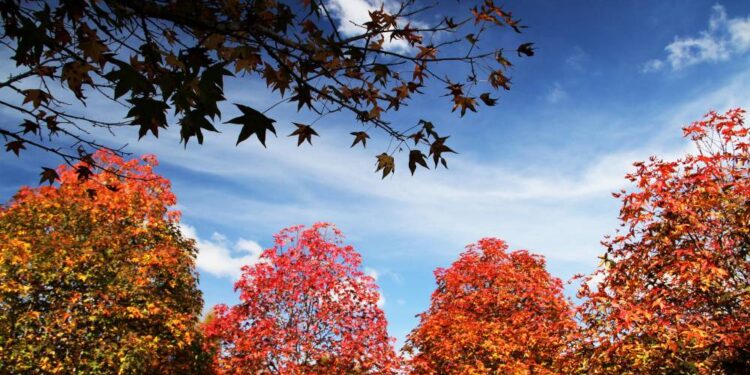 Foto: José Fernando Ogura