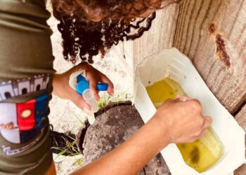 Foto: PMPPR/ Guilherme Guimarães