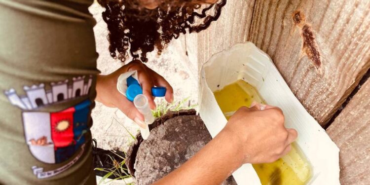 Foto: PMPPR/ Guilherme Guimarães