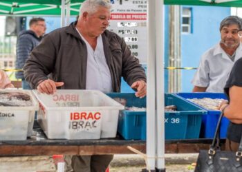 Foto: Divulgação/Prefeitura de Paranaguá