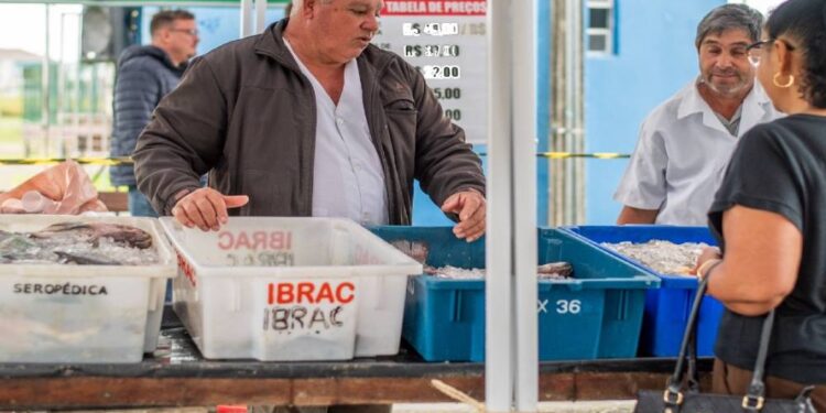 Foto: Divulgação/Prefeitura de Paranaguá