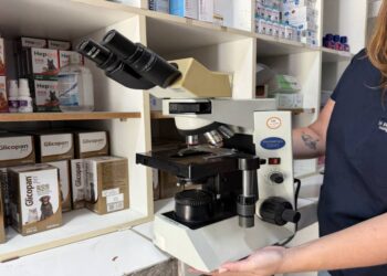 Foto: Emili Souza/Prefeitura de Paranaguá