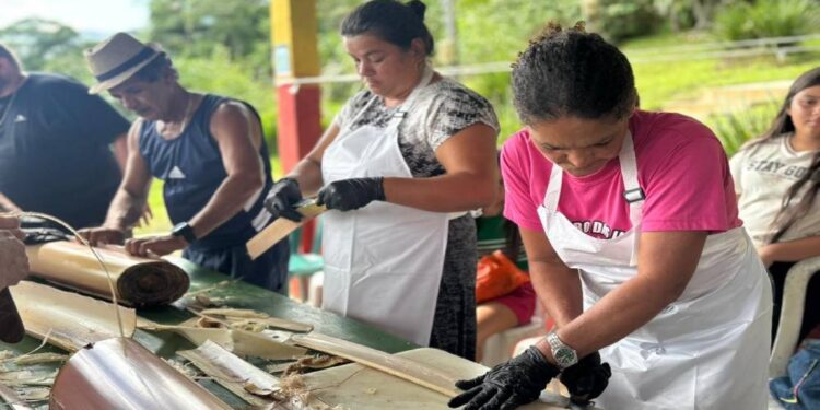 Foto: Fernanda Alves