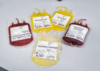 Foto: Prefeitura de Paranaguá