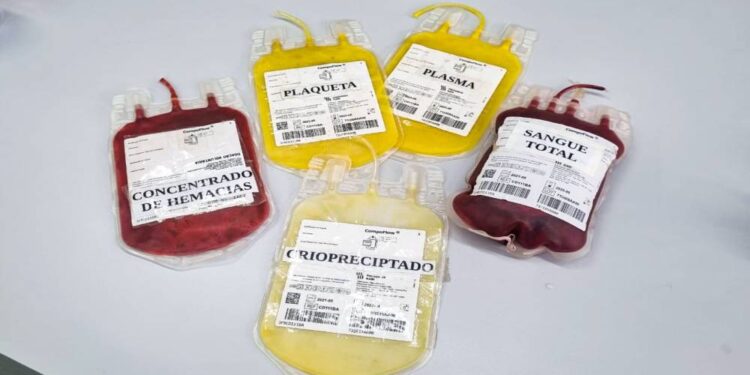 Foto: Prefeitura de Paranaguá