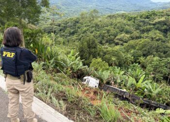 Caminhão carregado com frango congelado cai em ribanceira na BR-277 em Morretes 
