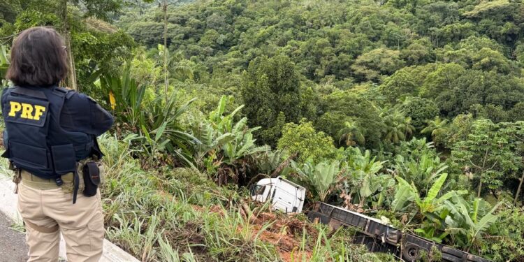 Caminhão carregado com frango congelado cai em ribanceira na BR-277 em Morretes