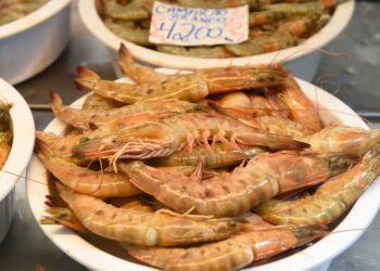 Foto: Denis Ferreira Netto/SEDEST