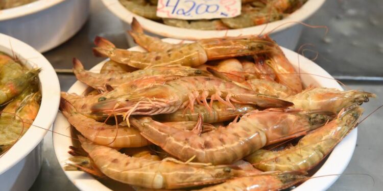 Foto: Denis Ferreira Netto/SEDEST