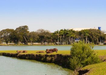 Foto: Yuri A. F. Marcinik/Simepar