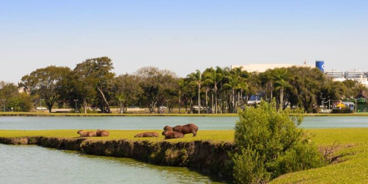 Foto: Yuri A. F. Marcinik/Simepar