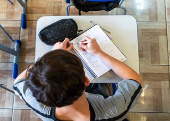 Foto: Lucas Fermin/SEED