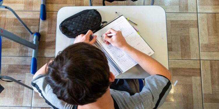 Foto: Lucas Fermin/SEED