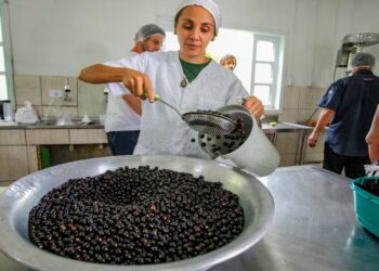 Foto: Claudio Neves/Portos do Paraná