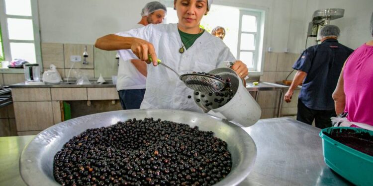 Foto: Claudio Neves/Portos do Paraná