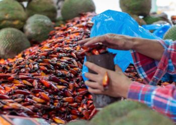Foto: Isabella Mayer/Prefeitura de Curitiba