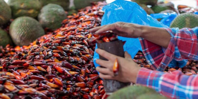Foto: Isabella Mayer/Prefeitura de Curitiba