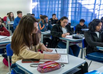 Foto: Silvio Turra/SEED