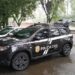 PCPR recupera três veículos durante operação no litoral do Paraná; investigação apura golpes praticados por revenda de automóveis instalada na capital