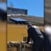 GCM recupera televisão furtada de escola municipal na área central de Paranaguá; aparelho estava no telhado de uma casa abandonada 