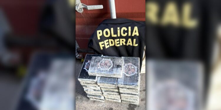 Polícia Federal apreende quase 24 quilos de cocaína em terminal portuário de Paranaguá