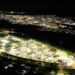 Foto: Claudio Neves / GCOM Portos do Paraná