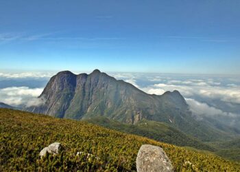 Foto: Denis Ferreira Netto/SEDEST