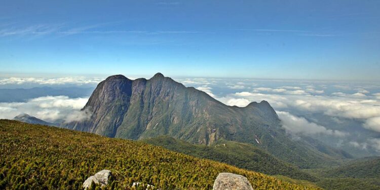 Foto: Denis Ferreira Netto/SEDEST