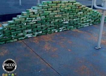 FICCO apreende mais de 300 quilos de cocaína que seriam descarregados em Paranaguá; droga estava escondida em um compartimento oculto de uma carreta 