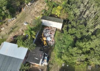 AIFA: 34.ª fase da operação que combate crimes ambientais é deflagrada em Paranaguá