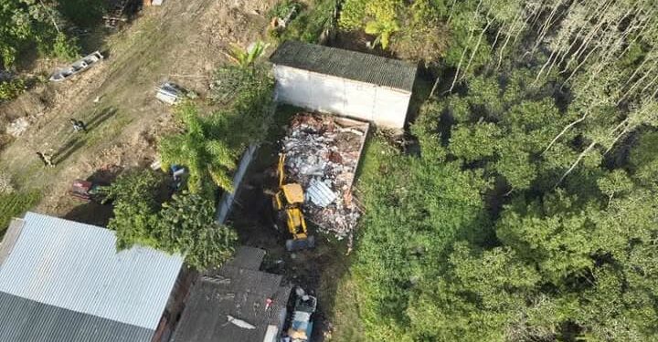 AIFA: 34.ª fase da operação que combate crimes ambientais é deflagrada em Paranaguá 