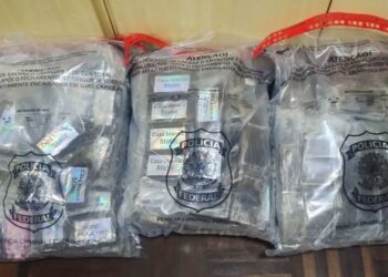 PM apreende mais de 20 quilos de haxixe em Paranaguá; droga estava em um contêiner refrigerado 
