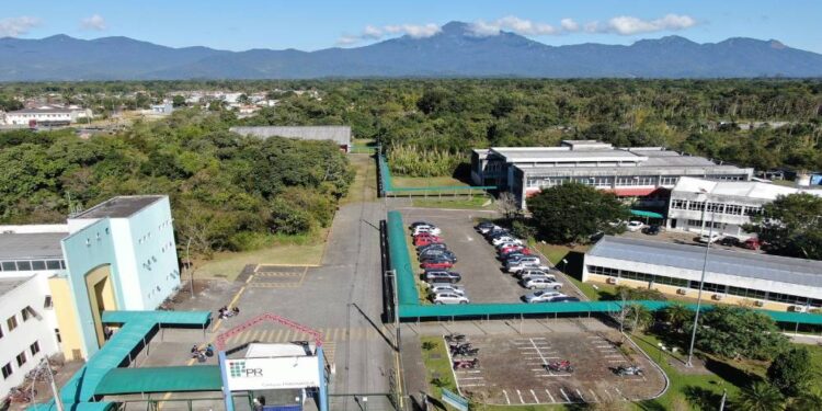 Foto: Divulgação/IFPR