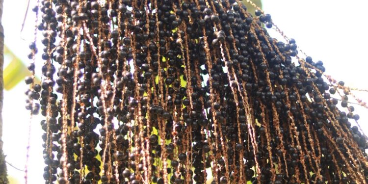Foto: Divulgação/Assessoria