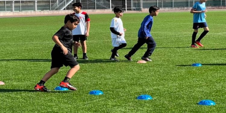 Foto: Moyses Zanardo e Sespor - Prefeitura de Paranaguá