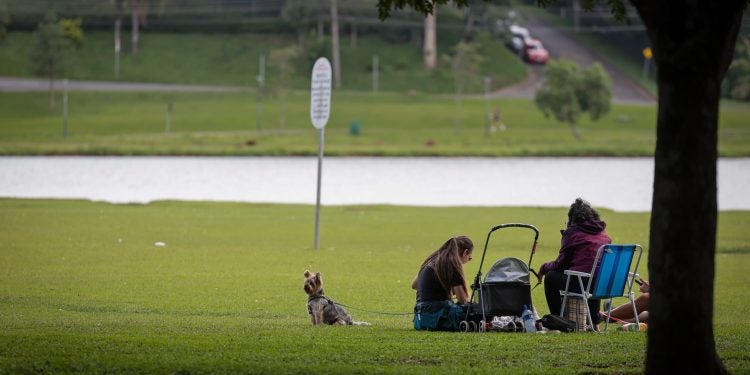 Foto: Geraldo Bubniak/AEN