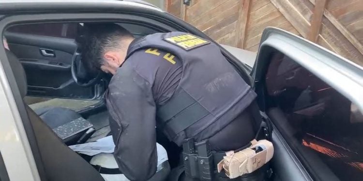 PF apreende cocaína durante operação contra o tráfico internacional de drogas no Porto de Paranaguá 
