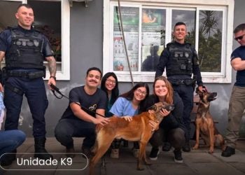 Cães da GCM de Paranaguá passam por avaliação veterinária antes da implantação da Unidade K9