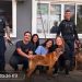 Cães da GCM de Paranaguá passam por avaliação veterinária antes da implantação da Unidade K9