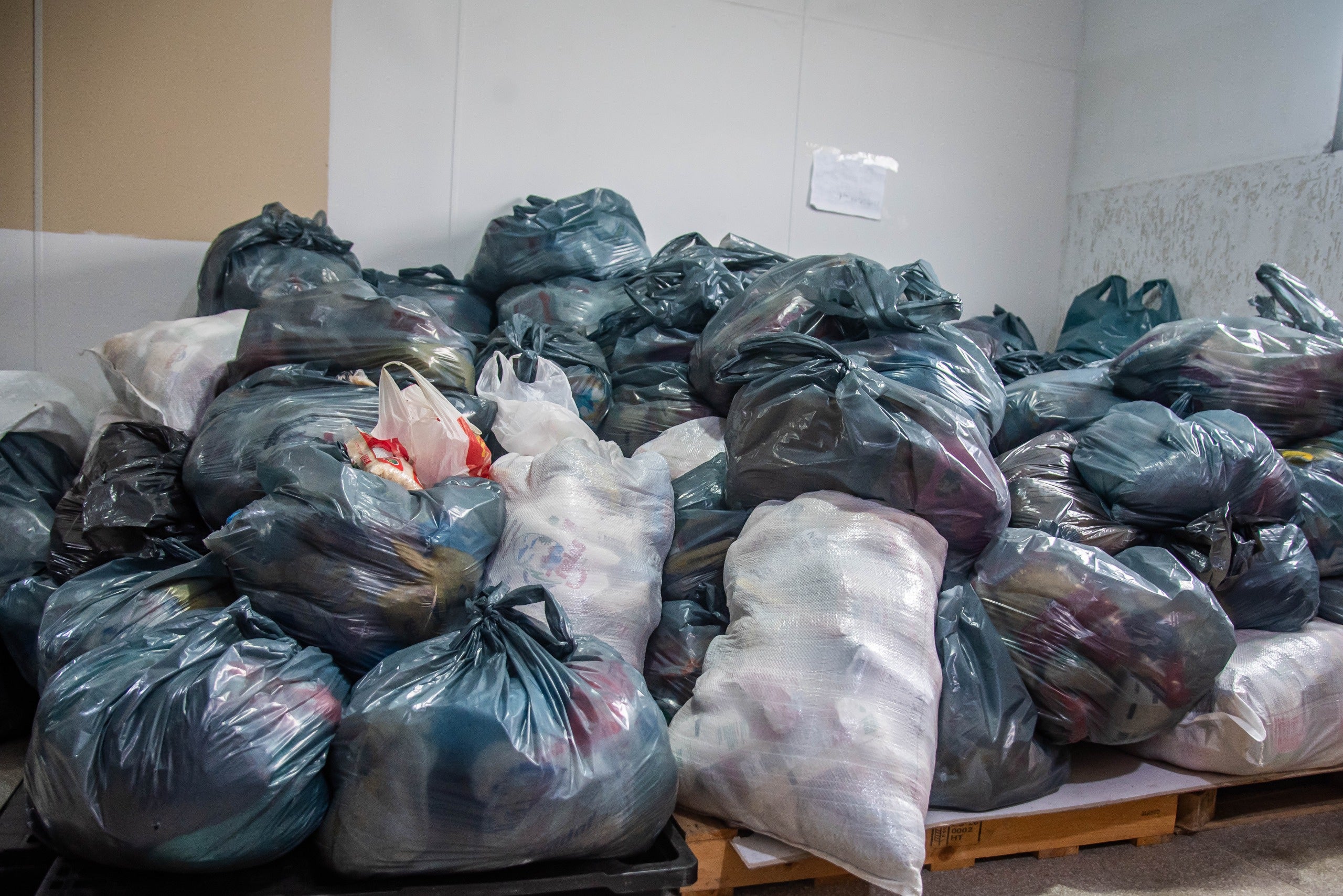 Foto: Moyses Zanardo/Prefeitura de Paranaguá